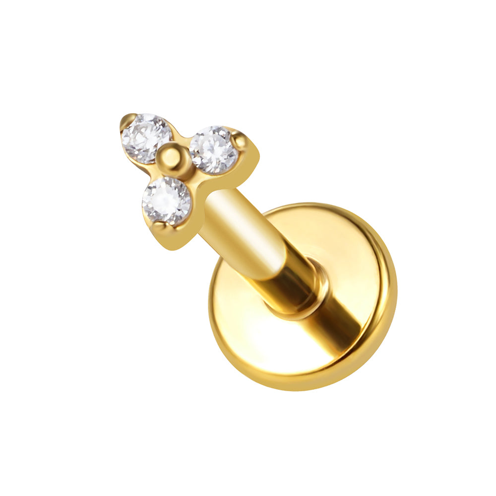 Ear Cartilage Piercing