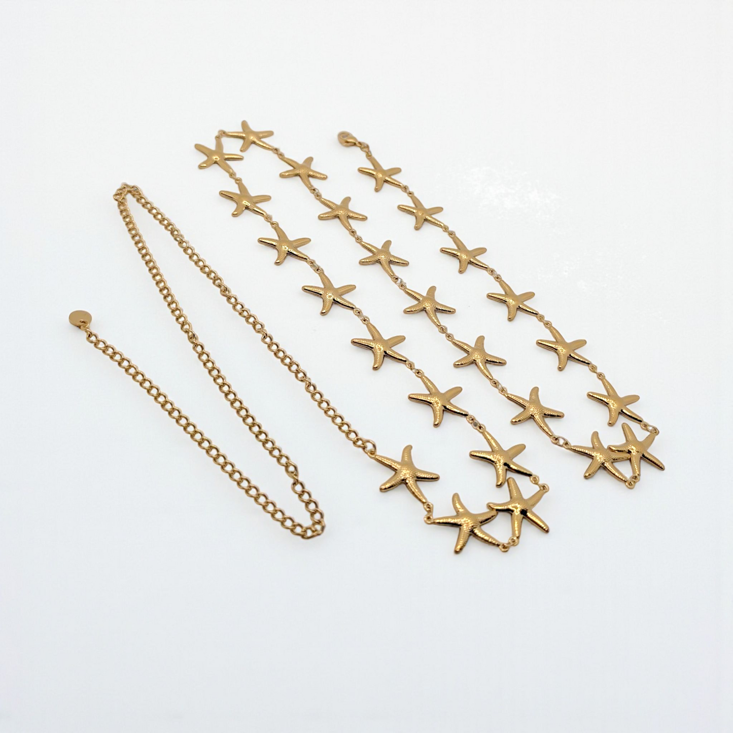 Cadena cuerpo Estrella de mar
