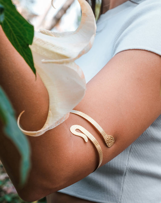 Snake Bracelet - Bangle