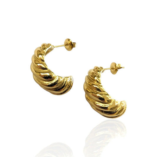 Pendientes Earrings