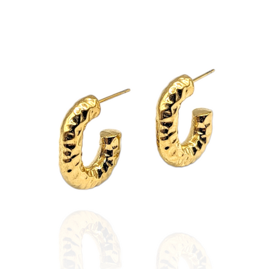 Giove Earrings