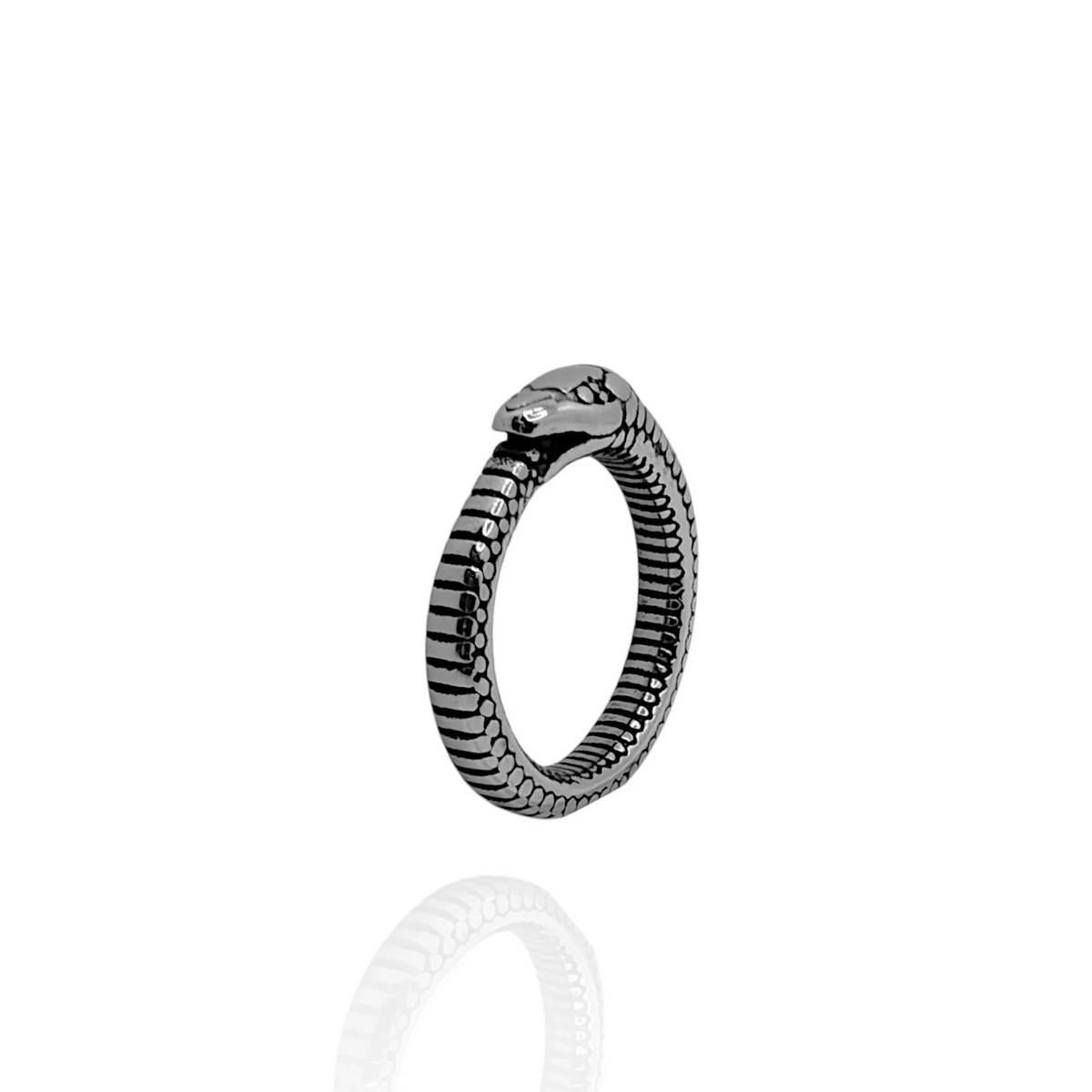 Sina Ring