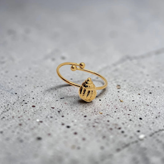 Anillo Concha - AILANA JEWELRY