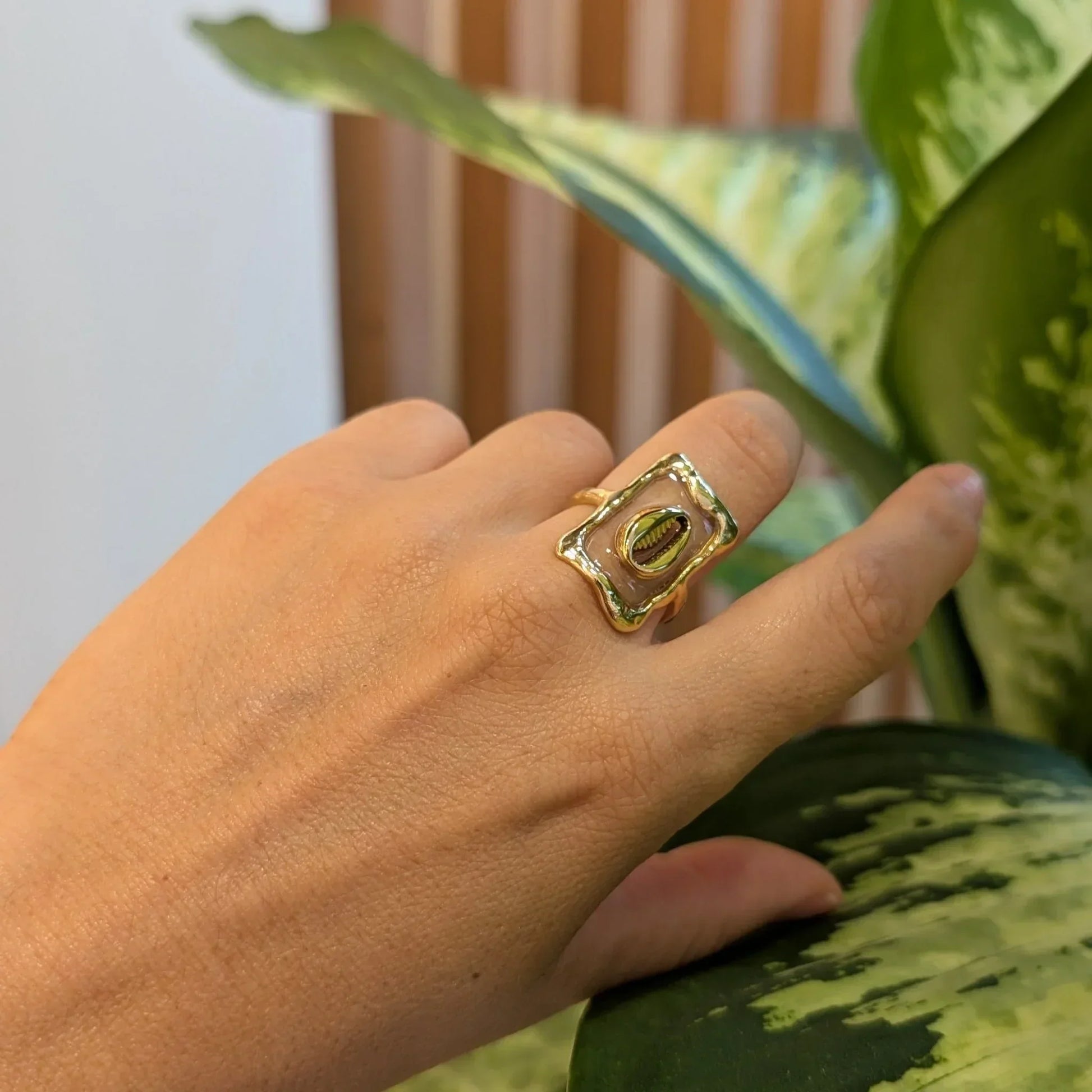 Anillo Concha - AILANA JEWELRY
