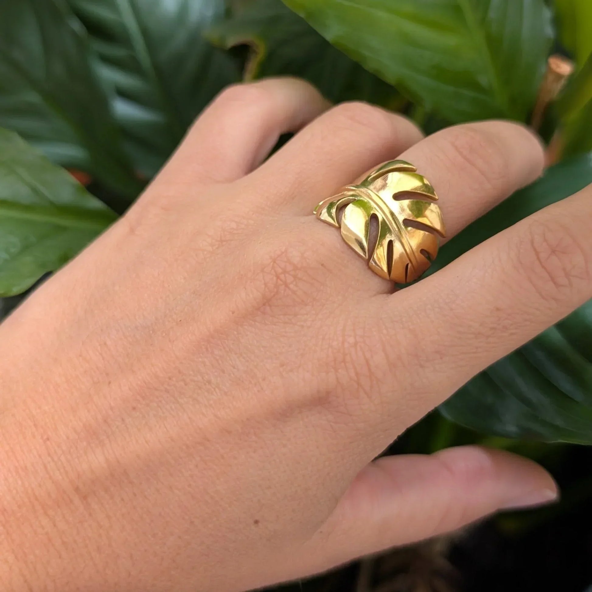 Anillo Royal Palm - AILANA JEWELRY