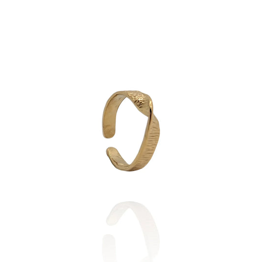 Anillo Mangol