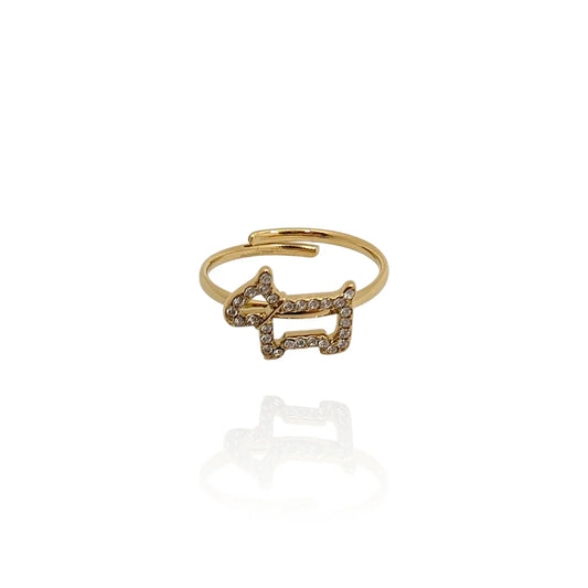 Anillo Baboo