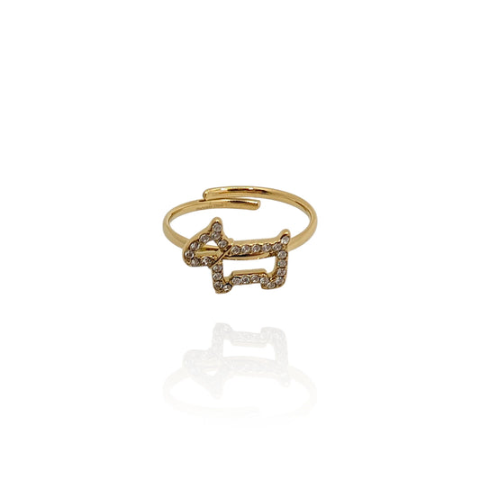 Anillo Baboo