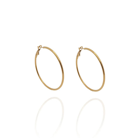 Pendientes Aros